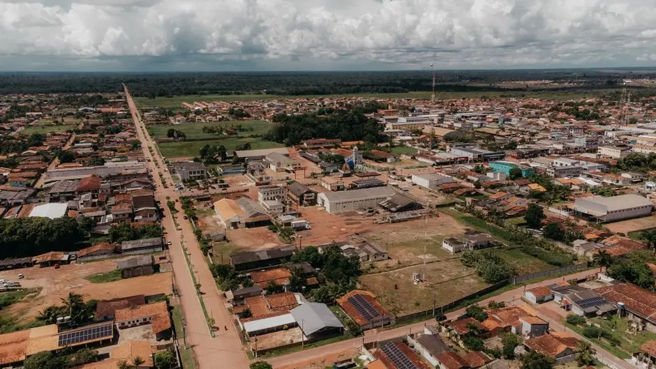Cânhamo avança como alternativa de baixo carbono