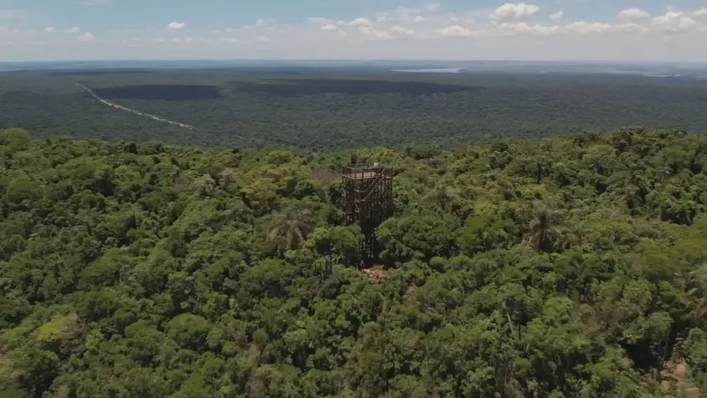 Parque Estadual abriga maior remanescente de Mata Atlântica do interior paulista