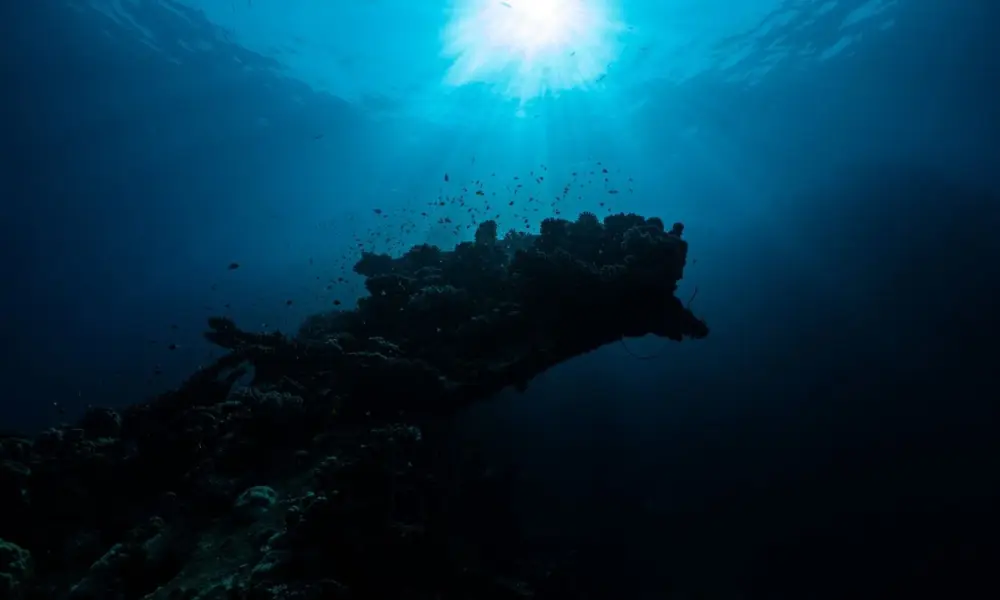 Cientistas registram pela primeira vez o nascimento de um trecho do fundo do oceano em tempo real