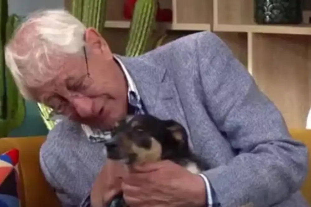 Idoso de 80 anos emociona ao pedir que adotem seu cachorro: "Me perdoe"
