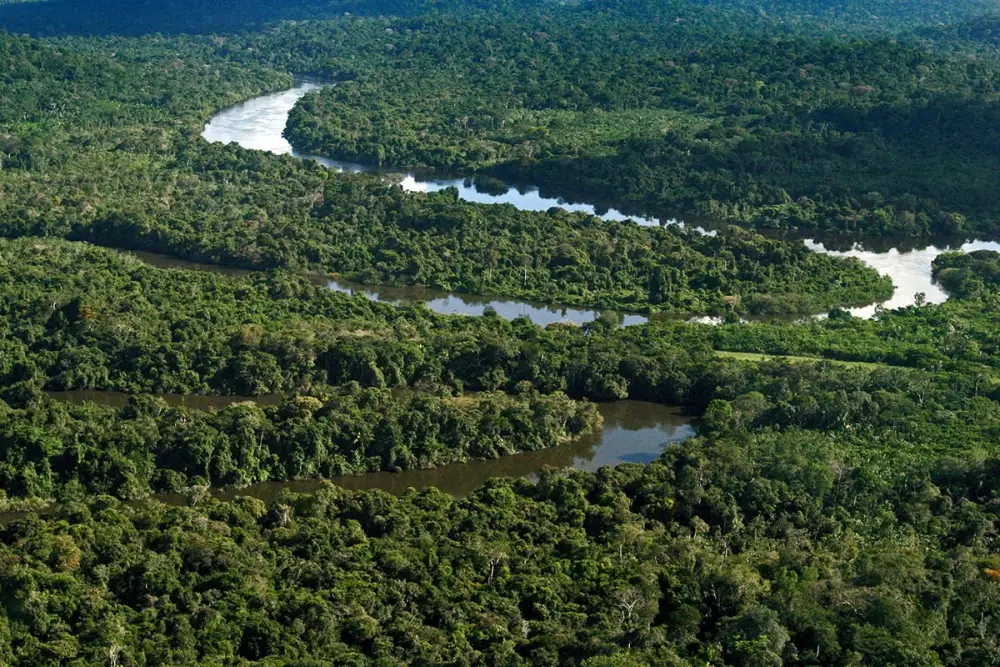 Mais de 80% das áreas protegidas da Amazônia tiveram desmatamento zero