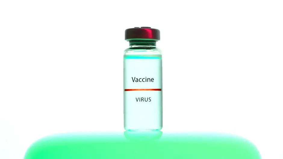 Vacinação contra HPV reduz infecção mesmo entre mulheres não imunizadas, aponta estudo brasileiro