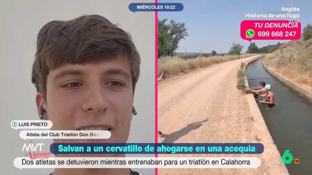 Dos triatletas salvan a un cervatillo de ahogarse en una acequia en Calahorra (La Rioja)