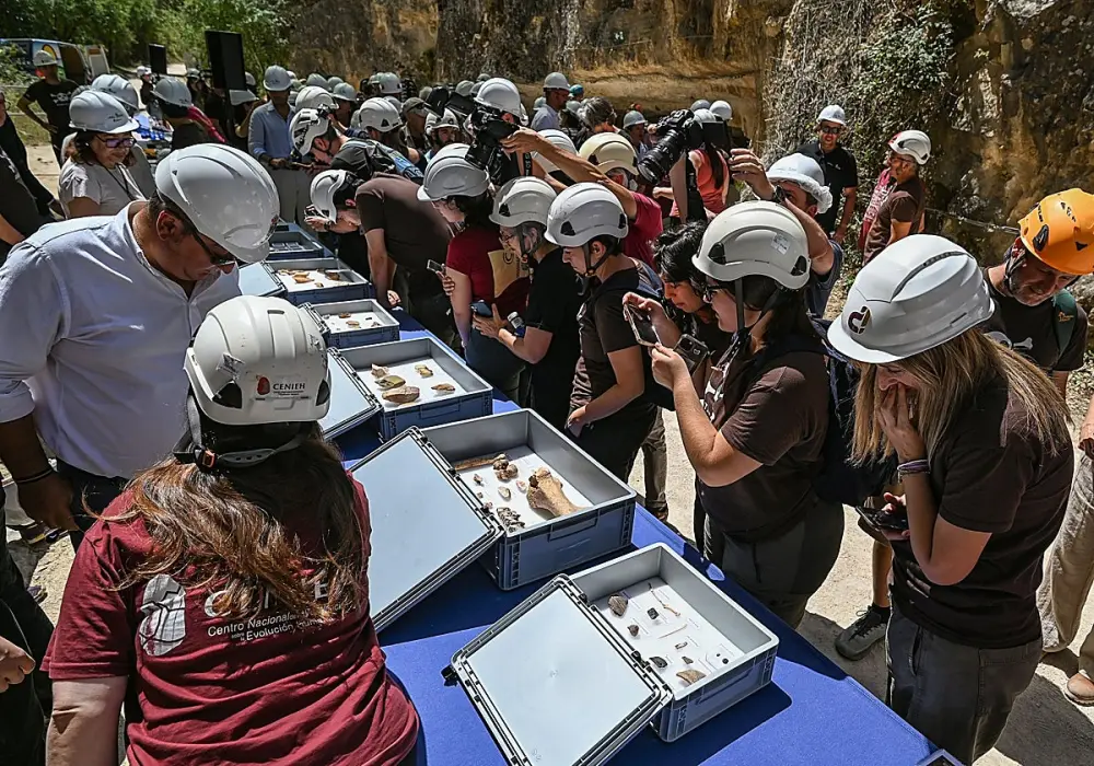 La campaña de Atapuerca descubre 24 fósiles de hace 850.000 años y confirma el canibalismo