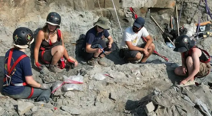 Anquilossauro de 155 milhões de anos. Possível dinossauro mais completo de Portugal identificado em Torres Vedras