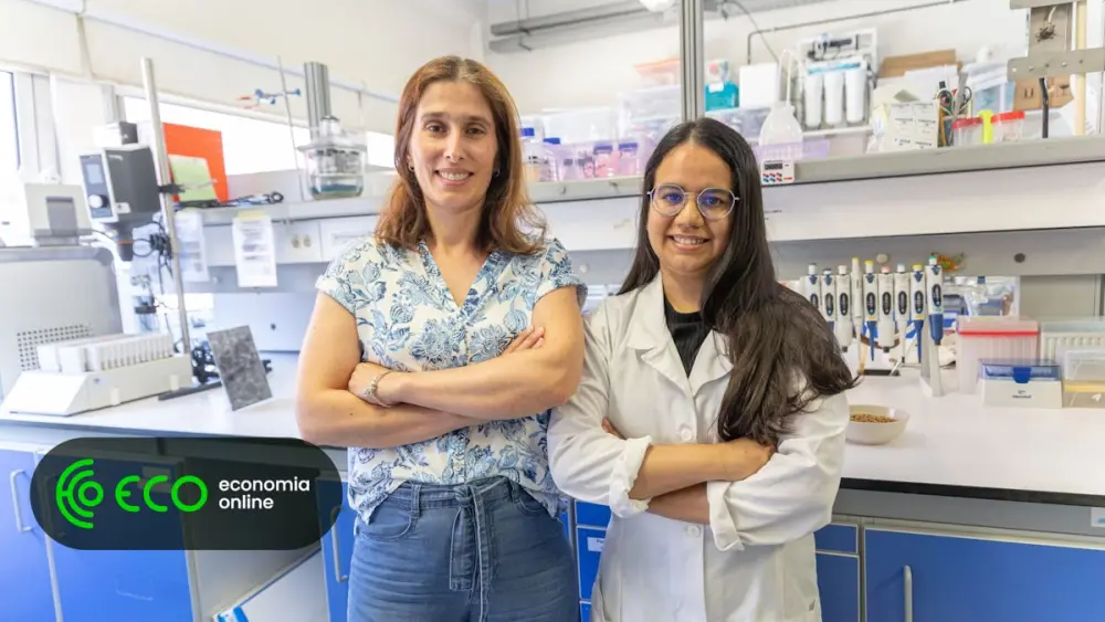 Universidade de Aveiro: resíduos da indústria cervejeira removem antibióticos das águas residuais