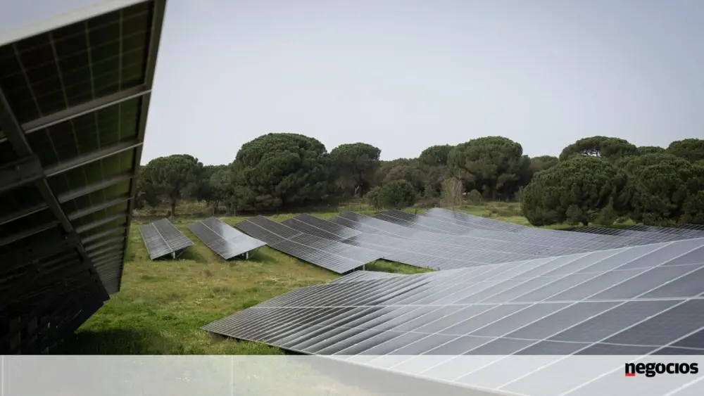 Energia solar liderou em julho pela primeira vez produção de eletricidade em Portugal