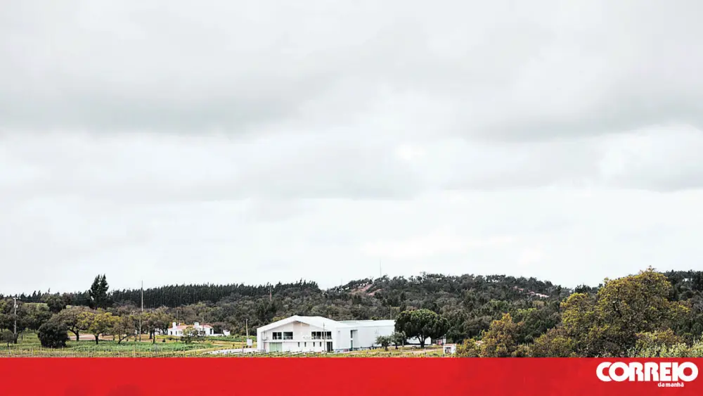 Herdade do Cebolal: projeto familiar, mas pouco convencional