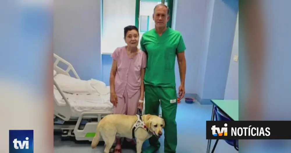"É como renascer!": transplante histórico devolveu a visão a Helena, que pela primeira vez em cinco anos voltou a ver