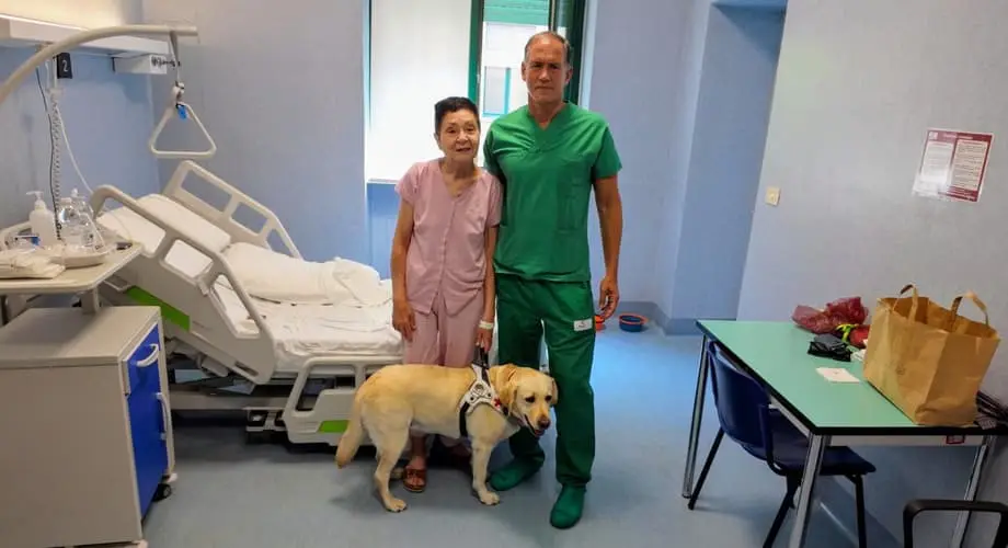 Mulher cega recupera a visão após transplante inovador de células estaminais