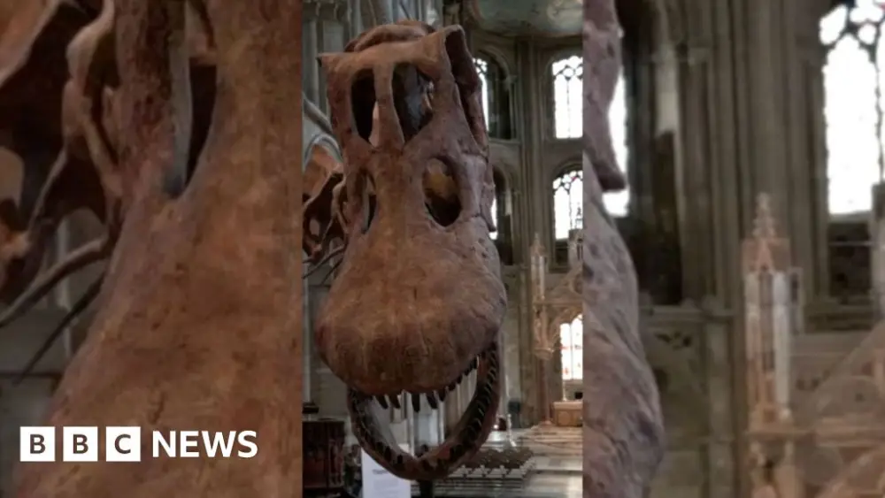 Fossil identified as first dinosaur ever found in Antarctica
